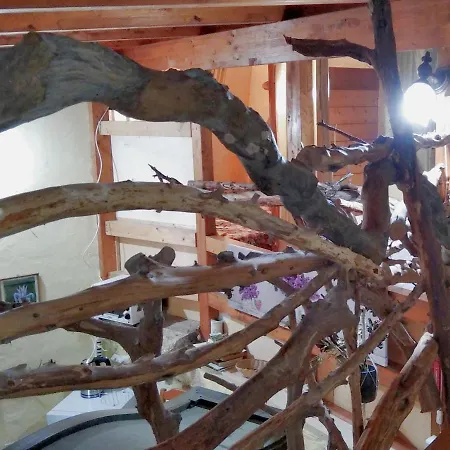 Tatil Evi Sa Domitta De Pedra *